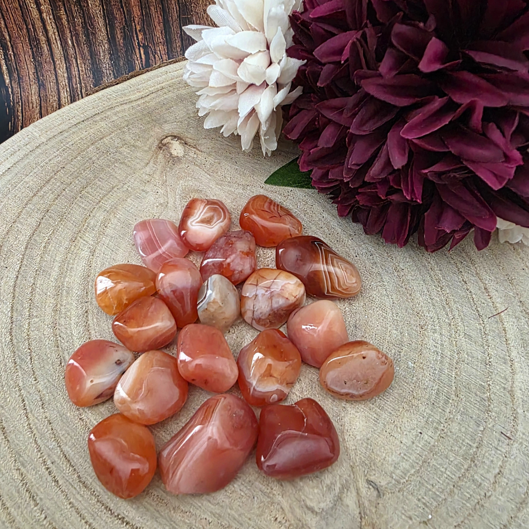 Medium Tumble Stone - Carnelian