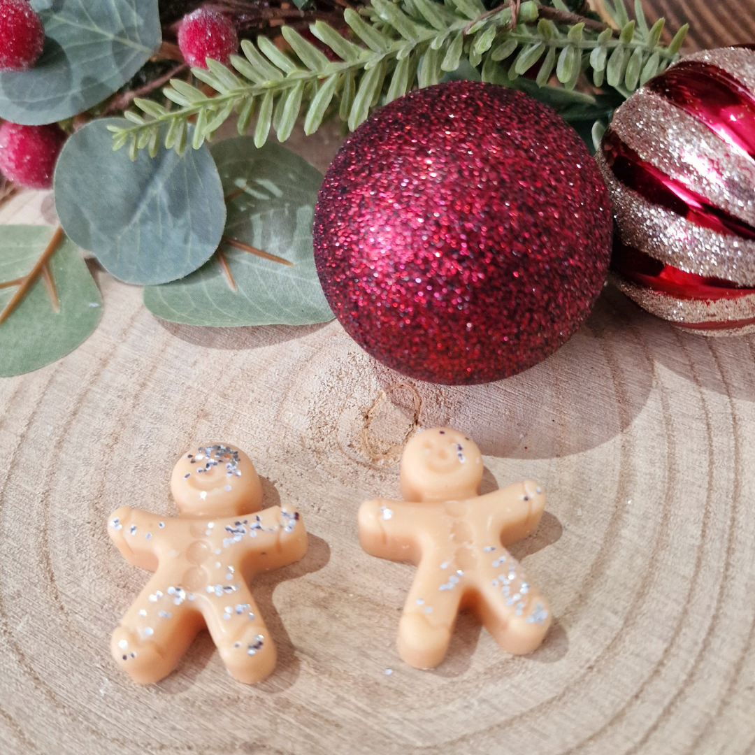Christmas Celebration Wax Melts
