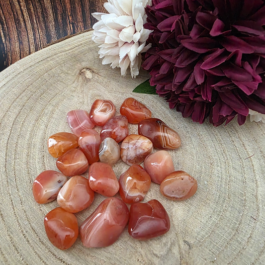 Medium Tumble Stone - Carnelian