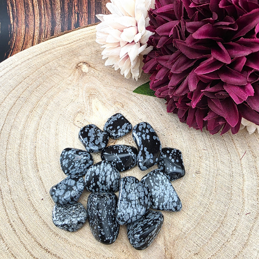 Medium Tumble Stone - Snowflake Obsidian