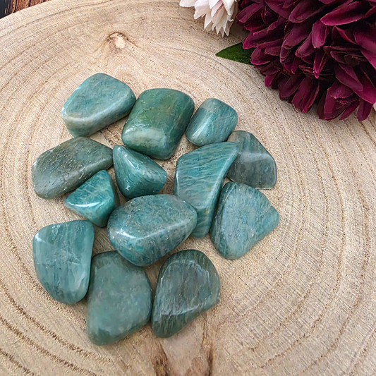 Large Tumble Stone - Amazonite