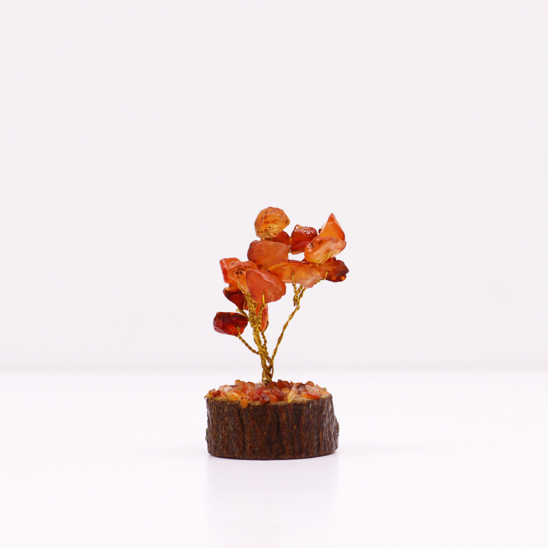 Mini Gemstone Trees on Wood Base - Carnelian