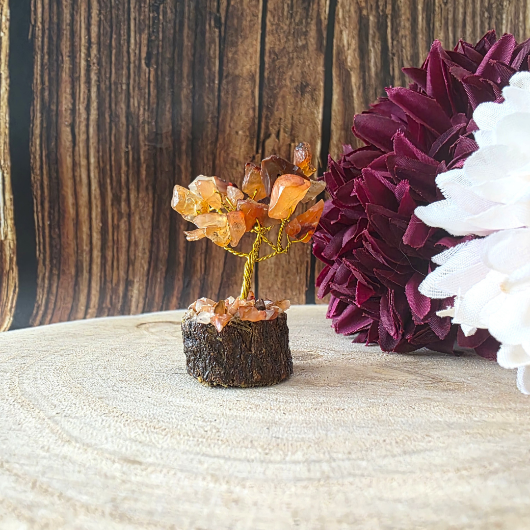 Mini Gemstone Trees on Wood Base - Carnelian