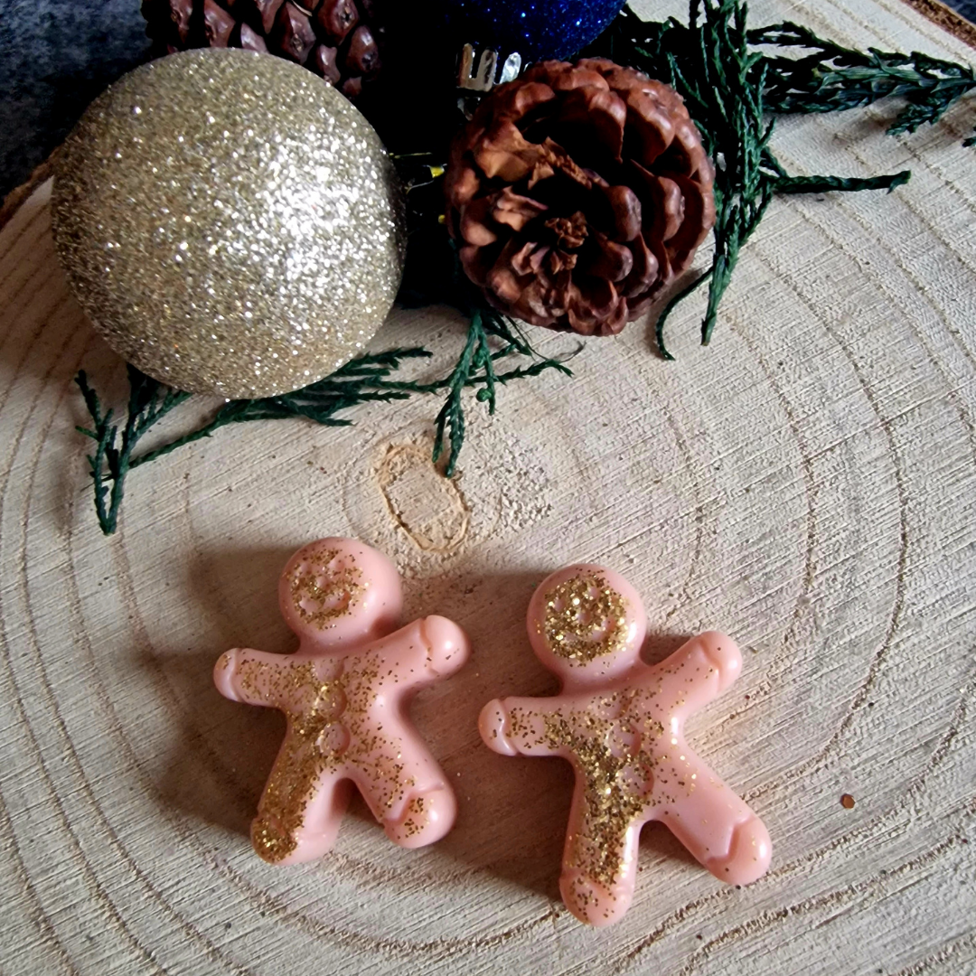 Christmas Pudding & Brandy Wax Melts