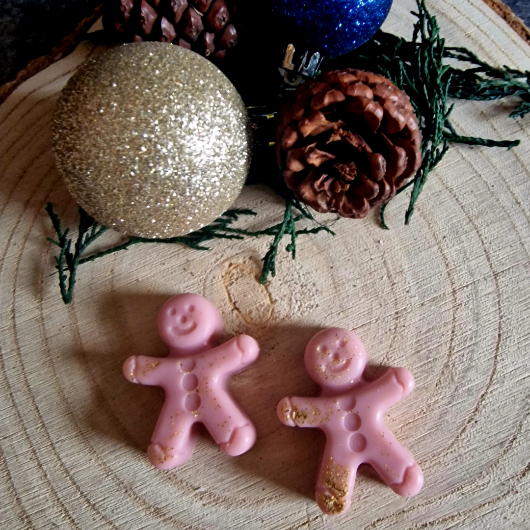 Holly Berry Wax Melts