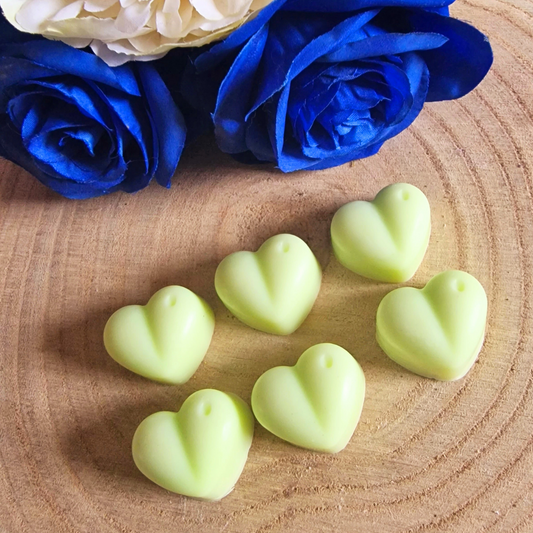 Lemongrass & Ginger Wax Melts