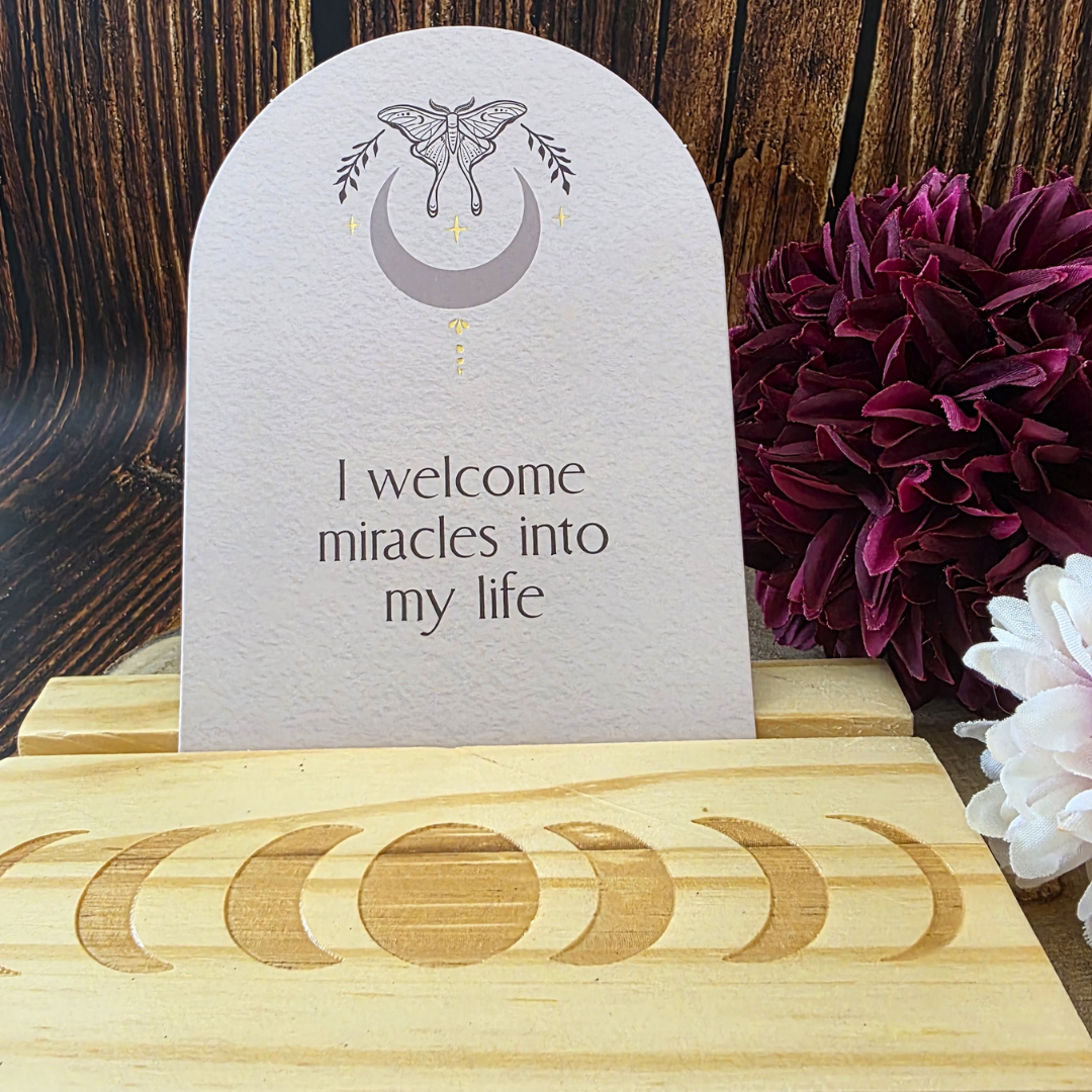 Luna Moth Affirmation Cards with Wooden Stand