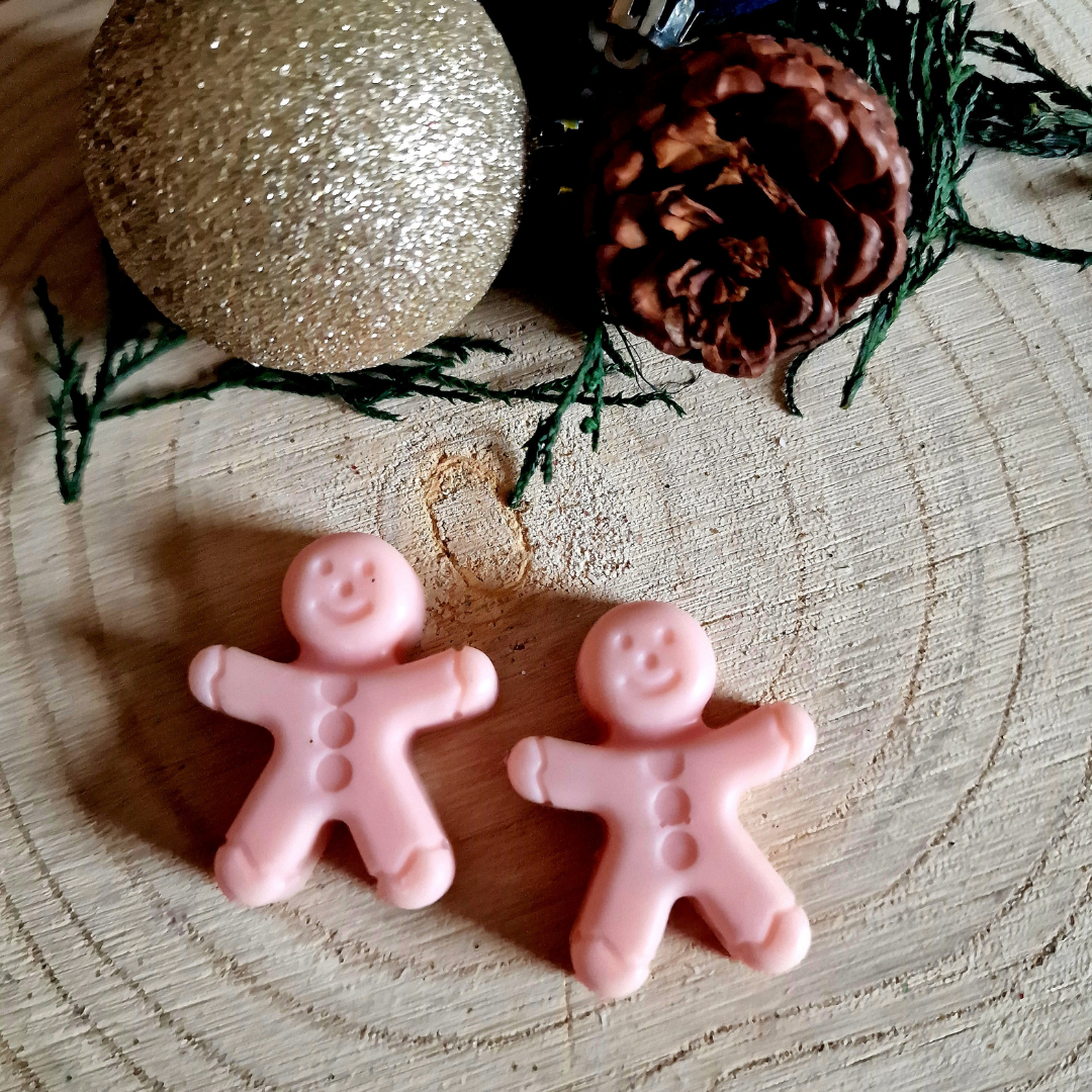 Roasted Chestnuts Wax Melts
