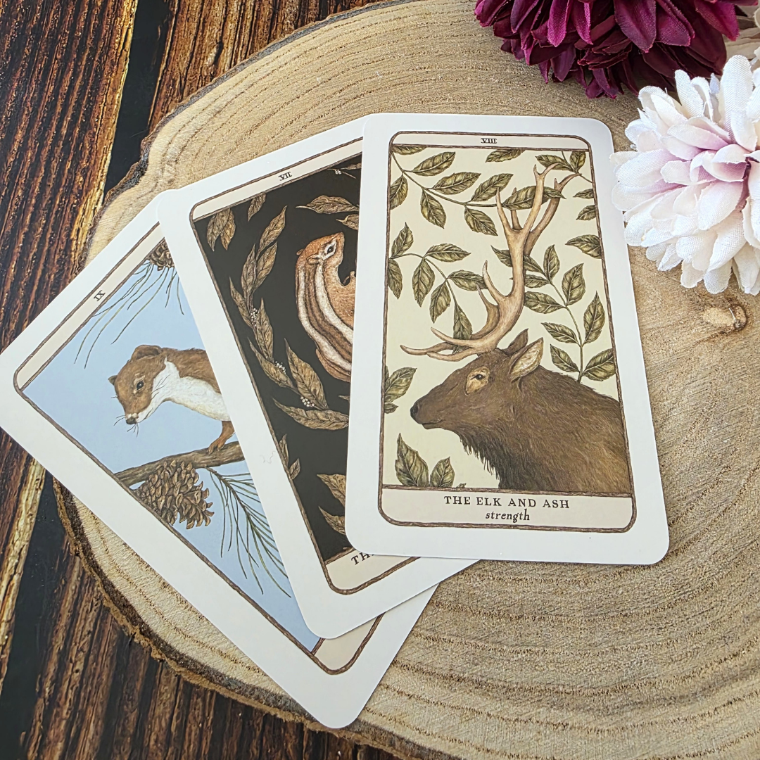 Woodland Wardens Oracle Card Deck & Guidebook