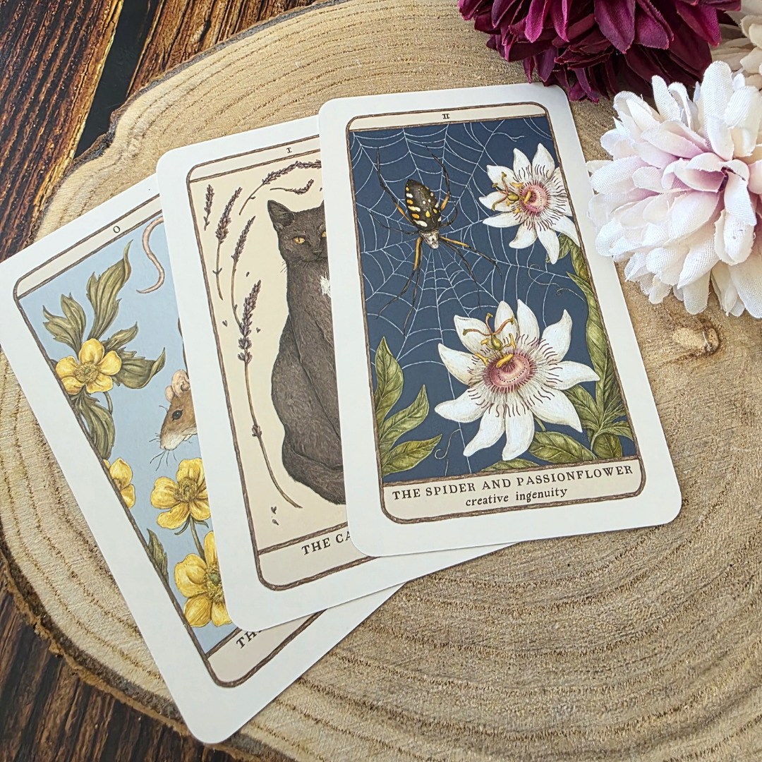 Woodland Wardens Oracle Card Deck & Guidebook