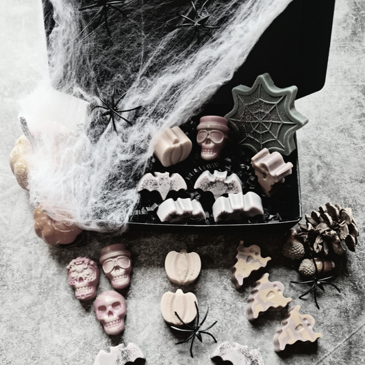 Trick or Treat Box
